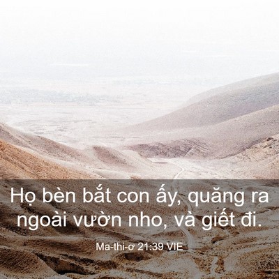 Picture 03 - Ma-thi-ơ 21:39 VIE - Họ bèn bắt con ấy, quăng ra ngoài - Bible Verse Picture