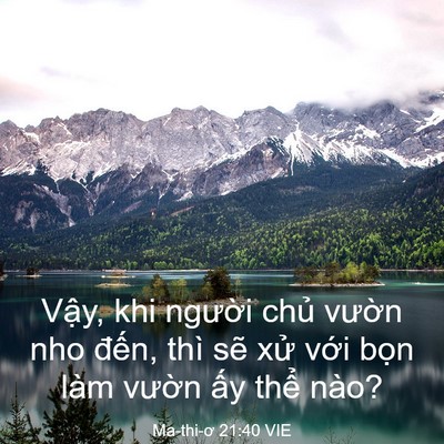 Picture 03 - Ma-thi-ơ 21:40 VIE - Vậy, khi người chủ vườn nho đến, - Bible Verse Picture