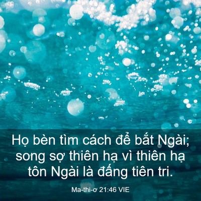 Picture 03 - Ma-thi-ơ 21:46 VIE - Họ bèn tìm cách để bắt Ngài; song sợ - Bible Verse Picture