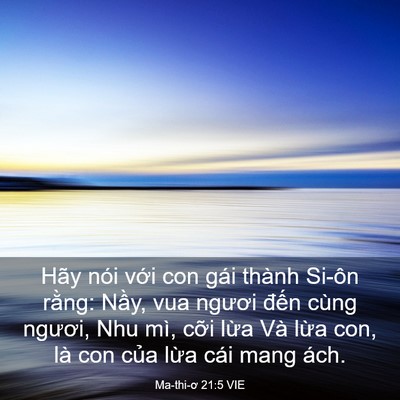 Picture 03 - Ma-thi-ơ 21:5 VIE - Hãy nói với con gái thành Si-ôn rằng: - Bible Verse Picture