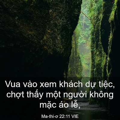 Picture 03 - Ma-thi-ơ 22:11 VIE - Vua vào xem khách dự tiệc, chợt thấy - Bible Verse Picture