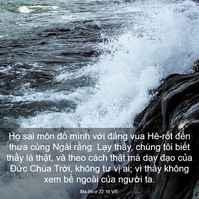 Picture 03 - Ma-thi-ơ 22:16 VIE - Họ sai môn đồ mình với đảng vua - Bible Verse Picture