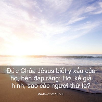Picture 03 - Ma-thi-ơ 22:18 VIE - Đức Chúa Jêsus biết ý xấu của họ, - Bible Verse Picture