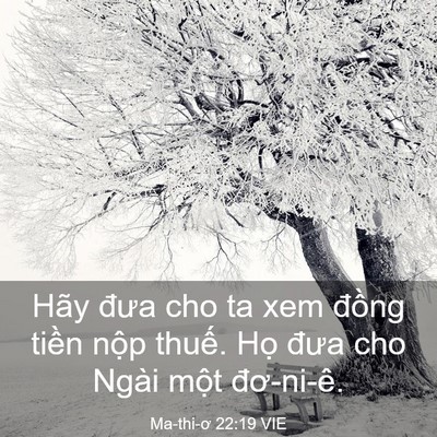 Picture 03 - Ma-thi-ơ 22:19 VIE - Hãy đưa cho ta xem đồng tiền nộp - Bible Verse Picture