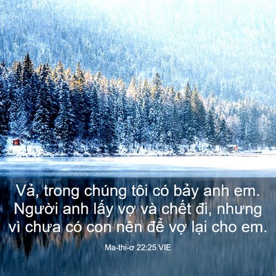 Picture 03 - Ma-thi-ơ 22:25 VIE - Vả, trong chúng tôi có bảy anh em. - Bible Verse Picture
