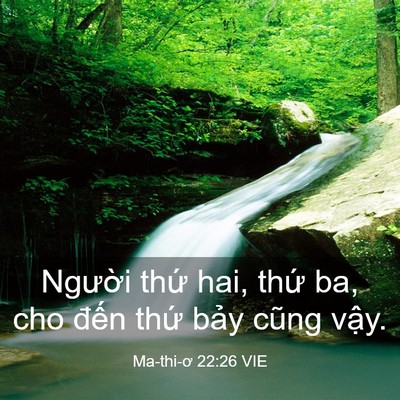 Picture 03 - Ma-thi-ơ 22:26 VIE - Người thứ hai, thứ ba, cho đến thứ - Bible Verse Picture