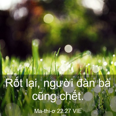 Picture 03 - Ma-thi-ơ 22:27 VIE - Rốt lại, người đàn bà cũng - Bible Verse Picture