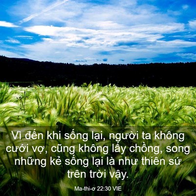Picture 03 - Ma-thi-ơ 22:30 VIE - Vì đến khi sống lại, người ta không - Bible Verse Picture