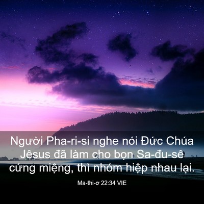 Picture 03 - Ma-thi-ơ 22:34 VIE - Người Pha-ri-si nghe nói Đức Chúa Jêsus - Bible Verse Picture