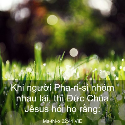 Picture 03 - Ma-thi-ơ 22:41 VIE - Khi người Pha-ri-si nhóm nhau lại, thì - Bible Verse Picture