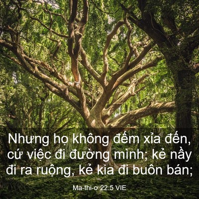 Picture 03 - Ma-thi-ơ 22:5 VIE - Nhưng họ không đếm xỉa đến, cứ - Bible Verse Picture