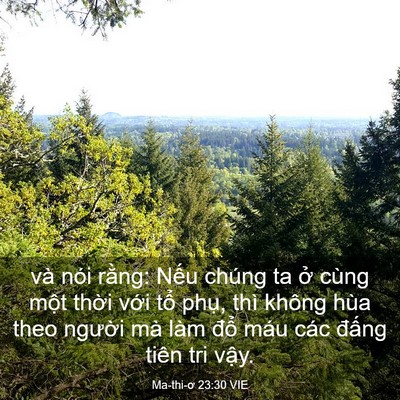 Picture 03 - Ma-thi-ơ 23:30 VIE - và nói rằng: Nếu chúng ta ở cùng một - Bible Verse Picture