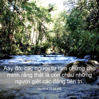 Picture 03 - Ma-thi-ơ 23:31 VIE - Aáy đó, các ngươi tự làm chứng cho - Bible Verse Picture