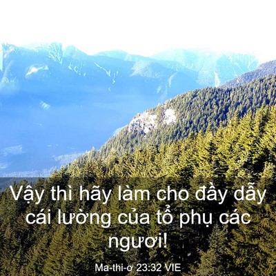Picture 03 - Ma-thi-ơ 23:32 VIE - Vậy thì hãy làm cho đầy dẫy cái - Bible Verse Picture