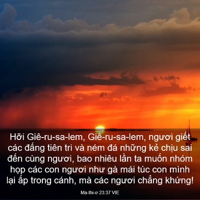 Picture 03 - Ma-thi-ơ 23:37 VIE - Hỡi Giê-ru-sa-lem, Giê-ru-sa-lem, ngươi - Bible Verse Picture