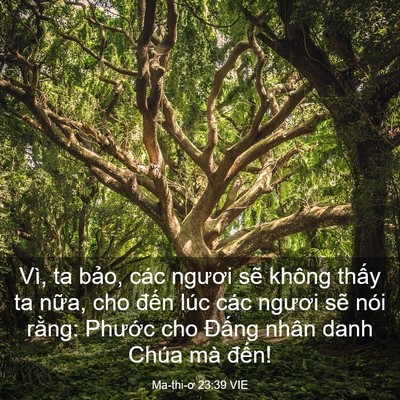 Picture 03 - Ma-thi-ơ 23:39 VIE - Vì, ta bảo, các ngươi sẽ không thấy ta - Bible Verse Picture