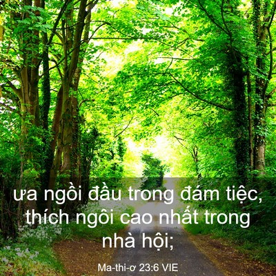 Picture 03 - Ma-thi-ơ 23:6 VIE - ưa ngồi đầu trong đám tiệc, thích - Bible Verse Picture