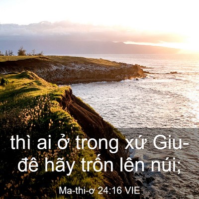 Picture 03 - Ma-thi-ơ 24:16 VIE - thì ai ở trong xứ Giu-đê hãy trốn lên - Bible Verse Picture
