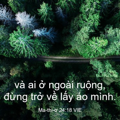 Picture 03 - Ma-thi-ơ 24:18 VIE - và ai ở ngoài ruộng, đừng trở về - Bible Verse Picture