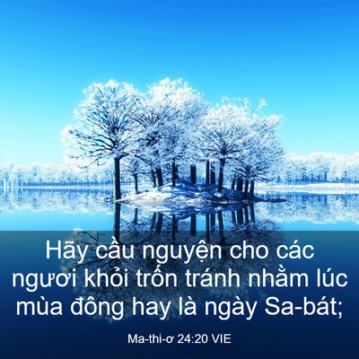 Picture 03 - Ma-thi-ơ 24:20 VIE - Hãy cầu nguyện cho các ngươi khỏi - Bible Verse Picture