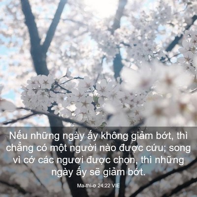 Picture 03 - Ma-thi-ơ 24:22 VIE - Nếu những ngày ấy không giảm bớt, - Bible Verse Picture
