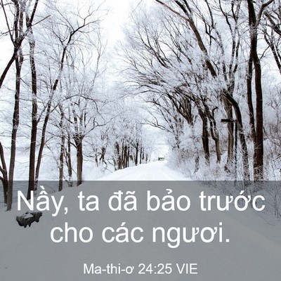 Picture 03 - Ma-thi-ơ 24:25 VIE - Nầy, ta đã bảo trước cho các - Bible Verse Picture