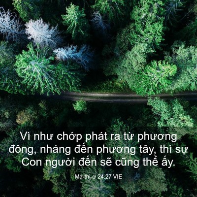 Picture 03 - Ma-thi-ơ 24:27 VIE - Vì như chớp phát ra từ phương đông, - Bible Verse Picture