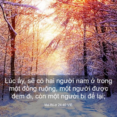 Picture 03 - Ma-thi-ơ 24:40 VIE - Lúc ấy, sẽ có hai người nam ở trong - Bible Verse Picture