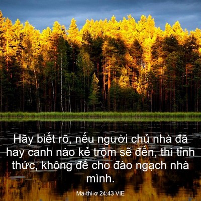 Picture 03 - Ma-thi-ơ 24:43 VIE - Hãy biết rõ, nếu người chủ nhà đã - Bible Verse Picture