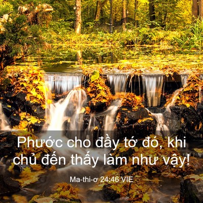 Picture 03 - Ma-thi-ơ 24:46 VIE - Phước cho đầy tớ đó, khi chủ đến - Bible Verse Picture