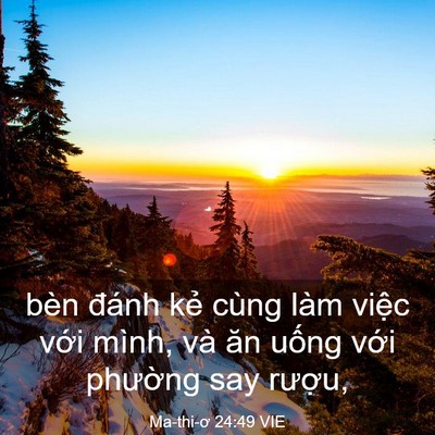 Picture 03 - Ma-thi-ơ 24:49 VIE - bèn đánh kẻ cùng làm việc với mình, - Bible Verse Picture