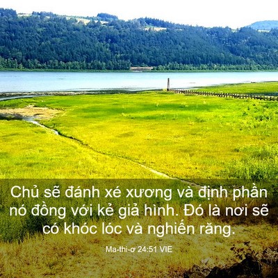 Picture 03 - Ma-thi-ơ 24:51 VIE - Chủ sẽ đánh xé xương và định phần - Bible Verse Picture