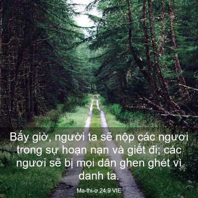 Picture 03 - Ma-thi-ơ 24:9 VIE - Bấy giờ, người ta sẽ nộp các ngươi - Bible Verse Picture
