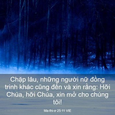 Picture 03 - Ma-thi-ơ 25:11 VIE - Chặp lâu, những người nữ đồng trinh - Bible Verse Picture