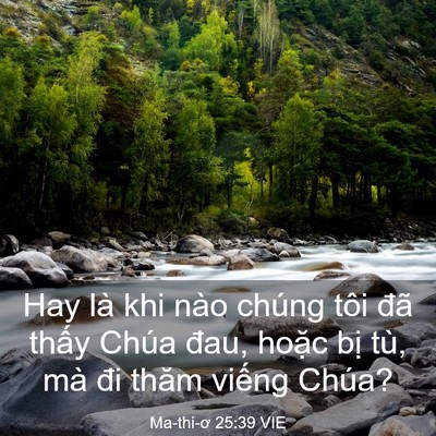 Picture 03 - Ma-thi-ơ 25:39 VIE - Hay là khi nào chúng tôi đã thấy Chúa - Bible Verse Picture