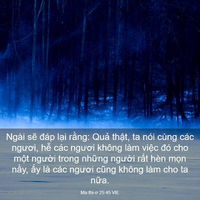 Picture 03 - Ma-thi-ơ 25:45 VIE - Ngài sẽ đáp lại rằng: Quả thật, ta - Bible Verse Picture