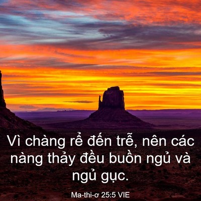 Picture 03 - Ma-thi-ơ 25:5 VIE - Vì chàng rể đến trễ, nên các nàng - Bible Verse Picture