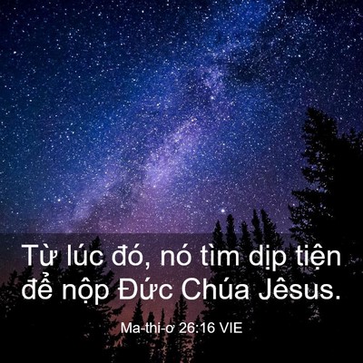 Picture 03 - Ma-thi-ơ 26:16 VIE - Từ lúc đó, nó tìm dịp tiện để nộp - Bible Verse Picture