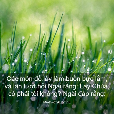 Picture 03 - Ma-thi-ơ 26:22 VIE - Các môn đồ lấy làm buồn bực lắm, - Bible Verse Picture