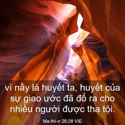 Picture 03 - Ma-thi-ơ 26:28 VIE - vì nầy là huyết ta, huyết của sự giao - Bible Verse Picture
