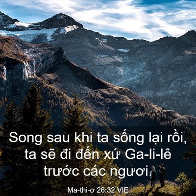 Picture 03 - Ma-thi-ơ 26:32 VIE - Song sau khi ta sống lại rồi, ta sẽ đi - Bible Verse Picture