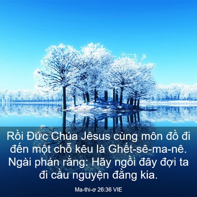 Picture 03 - Ma-thi-ơ 26:36 VIE - Rồi Đức Chúa Jêsus cùng môn đồ đi - Bible Verse Picture