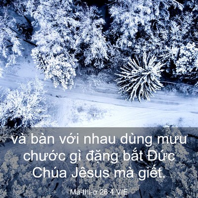 Picture 03 - Ma-thi-ơ 26:4 VIE - và bàn với nhau dùng mưu chước gì - Bible Verse Picture