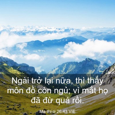 Picture 03 - Ma-thi-ơ 26:43 VIE - Ngài trở lại nữa, thì thấy môn đồ - Bible Verse Picture