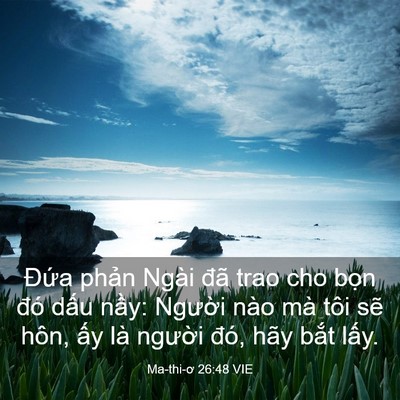 Picture 03 - Ma-thi-ơ 26:48 VIE - Đứa phản Ngài đã trao cho bọn đó - Bible Verse Picture