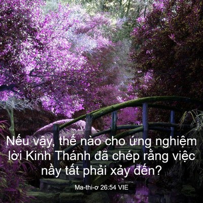 Picture 03 - Ma-thi-ơ 26:54 VIE - Nếu vậy, thế nào cho ứng nghiệm lời - Bible Verse Picture