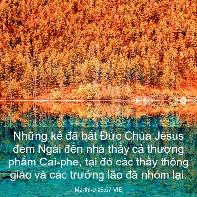 Picture 03 - Ma-thi-ơ 26:57 VIE - Những kẻ đã bắt Đức Chúa Jêsus đem - Bible Verse Picture