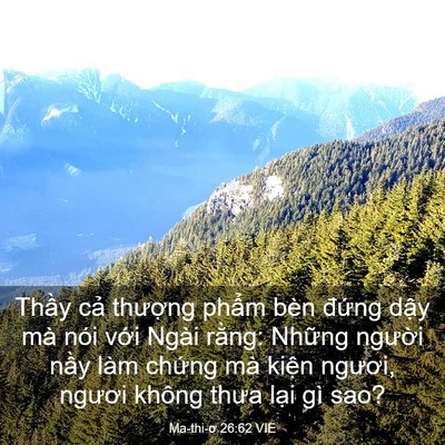 Picture 03 - Ma-thi-ơ 26:62 VIE - Thầy cả thượng phẩm bèn đứng dậy - Bible Verse Picture