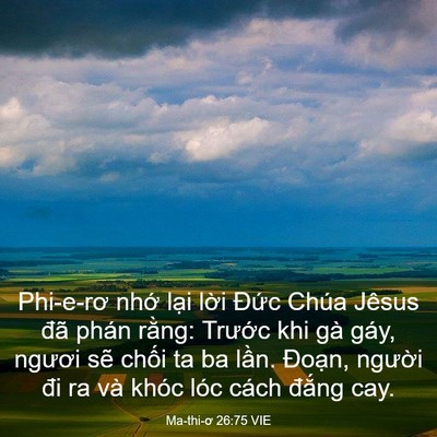 Picture 03 - Ma-thi-ơ 26:75 VIE - Phi-e-rơ nhớ lại lời Đức Chúa Jêsus - Bible Verse Picture