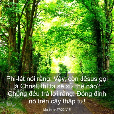 Picture 03 - Ma-thi-ơ 27:22 VIE - Phi-lát nói rằng: Vậy, còn Jêsus gọi - Bible Verse Picture